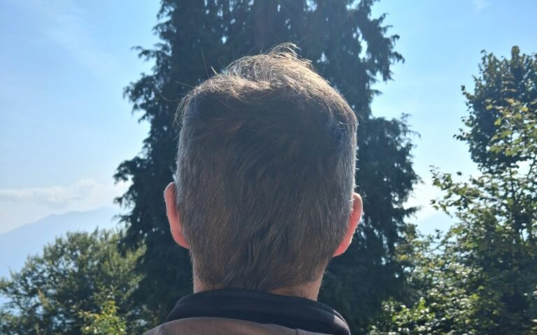 Simone di spalle davanti a un grande abete, in una giornata di sole